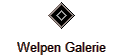 Welpen Galerie